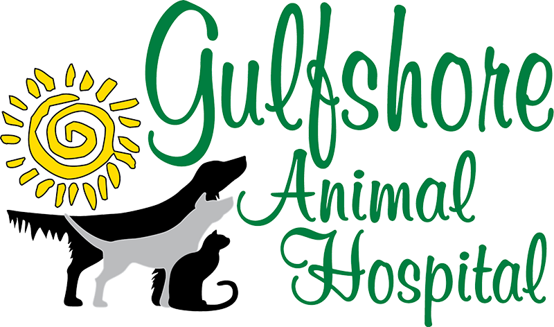 Gulfshore-Animal-Hospital-logo
